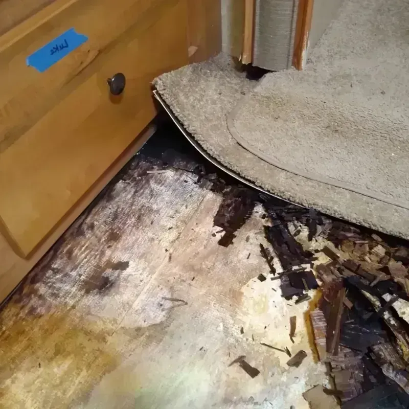 Wood Floor Water Damage in Canton, IL